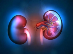 1565684621147998.png 圖片1.png